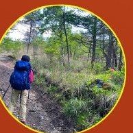 Hiking trails through the Gargano pine forests